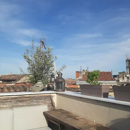 Avec Terrasse Centre Apartment