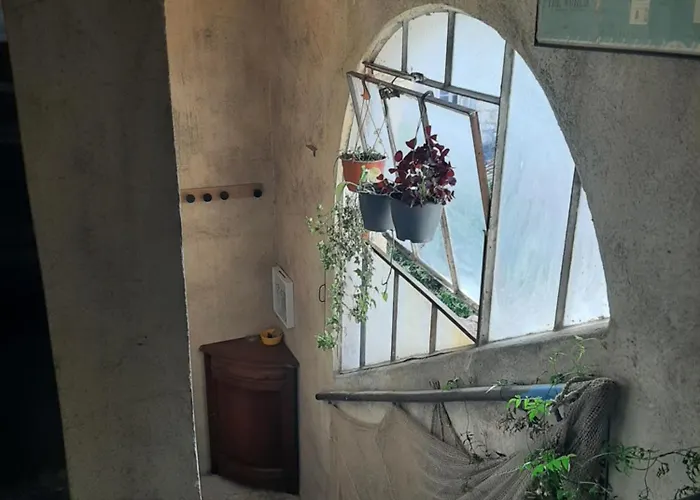 Daire Avec Terrasse Centre *